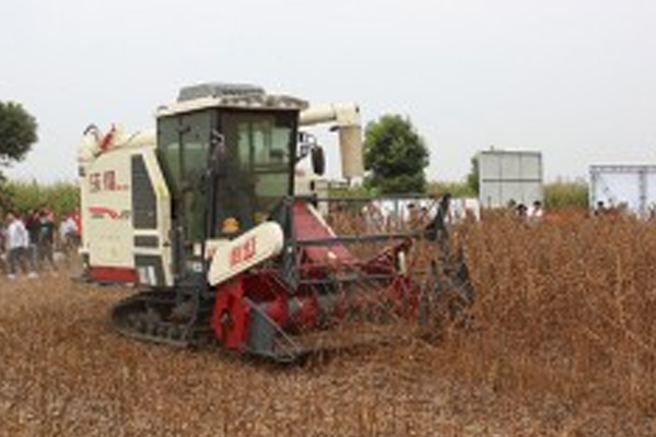 知識(shí)點(diǎn)！玉米的常見蟲害和防治方法